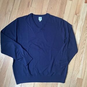 GAP Men’s L Navy Blue Merino Wool V-Neck Sweater